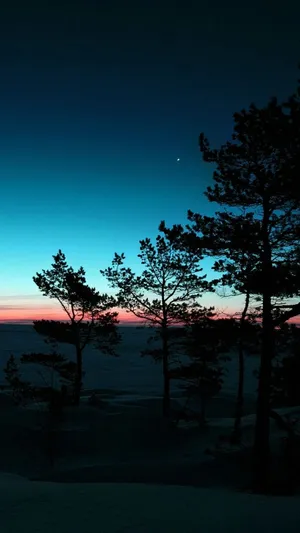 Enjoying The Beauty Of Nature Wallpaper