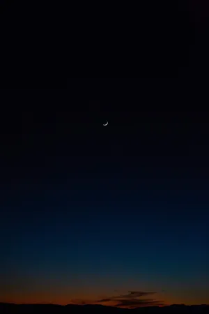 Enjoying The Beauty Of The Night Sky Wallpaper