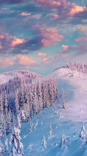 Enjoying The Beauty Of Winter. Wallpaper