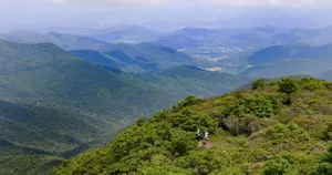 Enjoying The Breathtaking Views Of The Blue Ridge Parkway Wallpaper