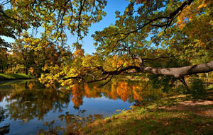 Enjoying The Colors Of Fall At The Pond Wallpaper