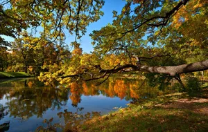 Enjoying The Colors Of Fall At The Pond Wallpaper