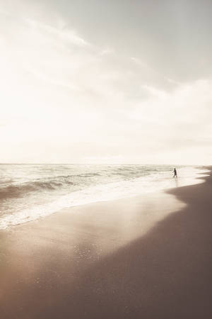 Enjoying The Day On The Beach Wallpaper