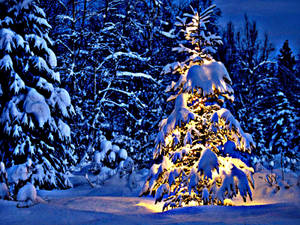 Enjoying The Festive Holiday Season With The One You Love Wallpaper