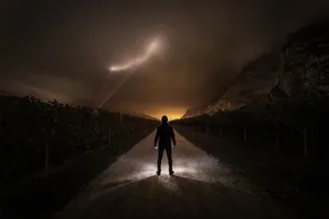 Enjoying The Morning Breeze Wallpaper