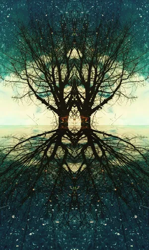 Enjoying The Natural Beauty Of A Coastal Sunset Wallpaper