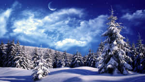 Enjoying The Stunning Beauty Of A Winter Landscape Wallpaper