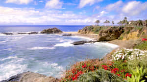 Enjoying The Sunrise On A Stroll Along A Southern California Beach. Wallpaper