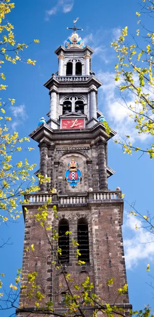 Enjoying The Sunset Wallpaper