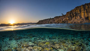 Enjoying The Underwater View Of A Beautiful Sunlit Ocean Wallpaper