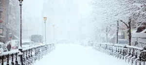 Enjoying The View From Above Wallpaper