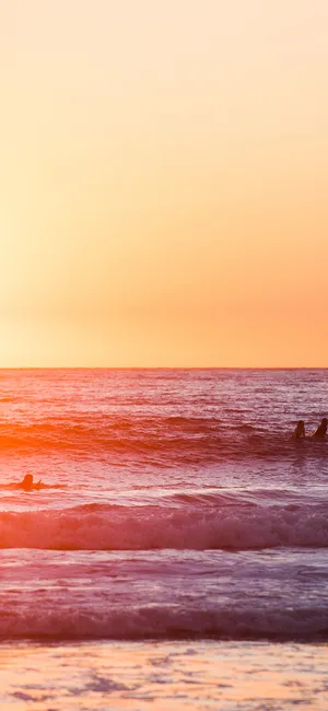 Enjoying The View Of The Sunset In California Summer! Wallpaper