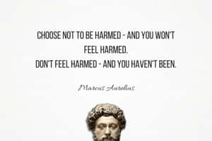 Enlightening Thoughts In The Natural World Wallpaper