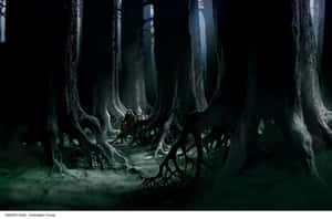 Enter The Forbidden Forest Wallpaper