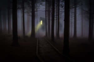 Enter The Haunted Forest At Your Own Risk Wallpaper