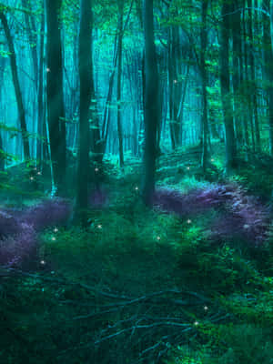 Enter The Magical Fairy Forest Wallpaper