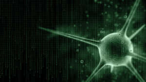 Enter The Matrix Code Wallpaper