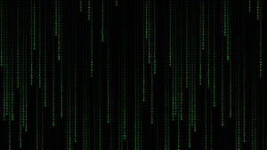 Enter The Matrix Wallpaper