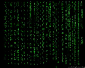 Enter The Matrix Wallpaper