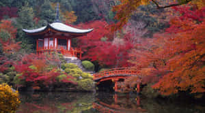 Enthralling Samurai Garden Scene Wallpaper
