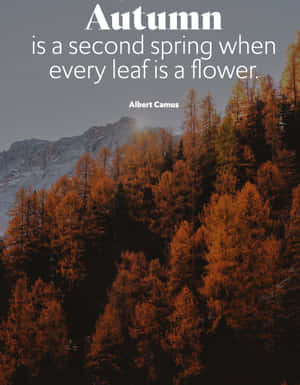 Enthralling Wilderness: Serenity In Nature Wallpaper