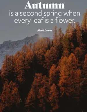 Enthralling Wilderness: Serenity In Nature Wallpaper