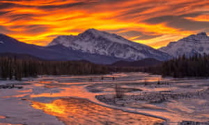 Enthralling Winter Sunset Wallpaper