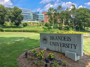 Entrance Sign At Brandeis University Wallpaper