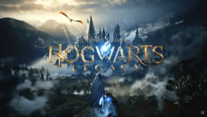 Epic Adventure In The World Of Harry Potter Game Wallpaper