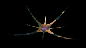 Epic Battle On Halo Ark Wallpaper