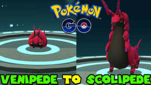 Epic Evolution From Venipede To Scolipede Wallpaper