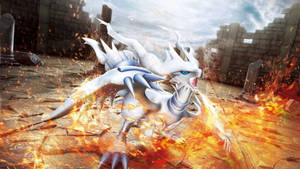 Epic Reshiram Breathing Fire Wallpaper