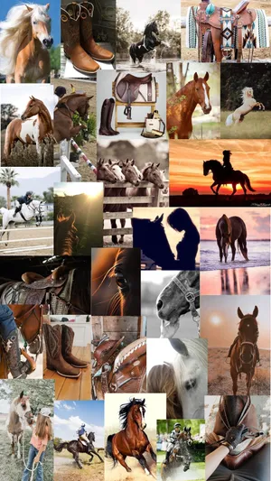 Equestrian_ Lifestyle_ Collage.jpg Wallpaper