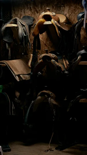 Equestrian Saddle Storage Room Wallpaper