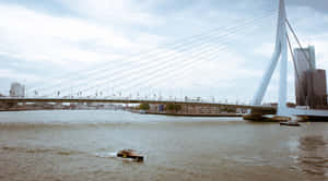 Erasmus Bridge Rotterdam Waterway Wallpaper