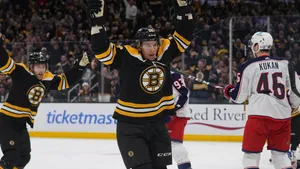 Erik Haula Celebrating Goal Hockey Game Wallpaper