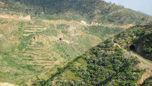 Eritrea Green Forest Wallpaper