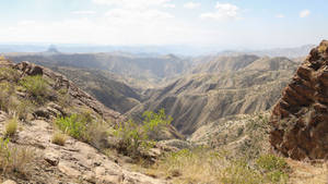 Eritrea Nature Wallpaper