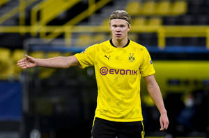 Erling Haaland Football Player Wallpaper