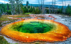 Erupting Geyser In Stunning Yellowstone National Park Wallpaper