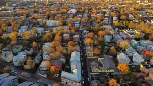 Estonia Tallinn City Aerial View Wallpaper