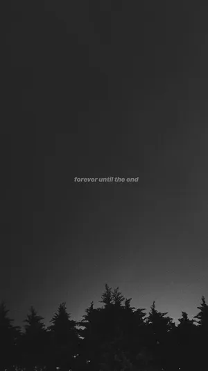 Eternal_ Night_ Silhouette Wallpaper