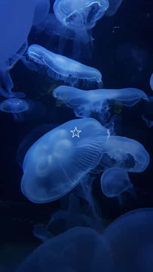 Ethereal_ Blue_ Jellyfish_ Swarm Wallpaper