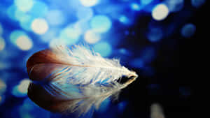 Ethereal Feather Bokeh Background Wallpaper