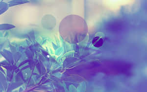 Ethereal_ Foliage_ Bokeh_ Background Wallpaper