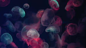 Ethereal_ Jellyfish_ Glow Wallpaper