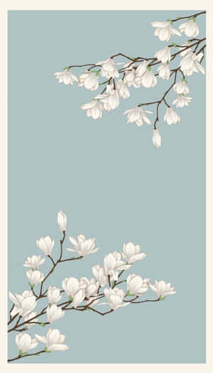 Ethereal Magnolia Blossoms Wallpaper