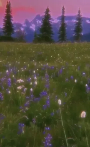 Ethereal Mountain Meadow.jpg Wallpaper
