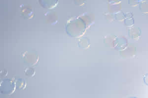 Ethereal Soap Bubbles Floating Wallpaper