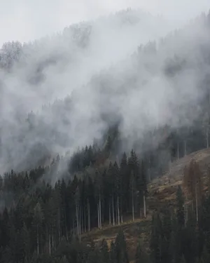 Ethereal View Of San Francisco Shrouded In Fog Wallpaper